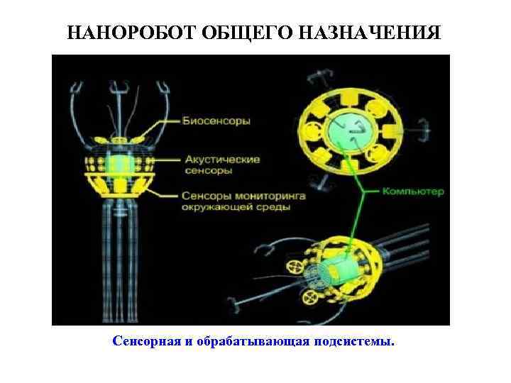 НАНОРОБОТ ОБЩЕГО НАЗНАЧЕНИЯ Сенсорная и обрабатывающая подсистемы. 