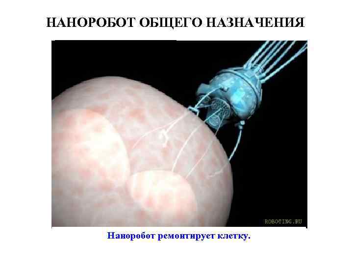 НАНОРОБОТ ОБЩЕГО НАЗНАЧЕНИЯ Наноробот ремонтирует клетку. 