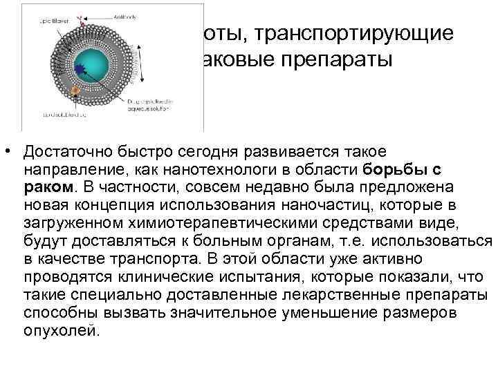 Созданы наноботы, транспортирующие противораковые препараты • Достаточно быстро сегодня развивается такое направление, как нанотехнологи