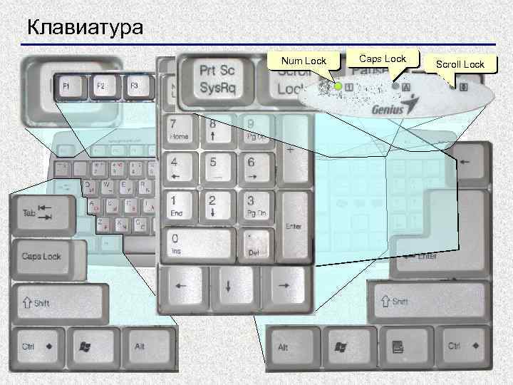 Клавиатура Num Lock Caps Lock Scroll Lock 32 