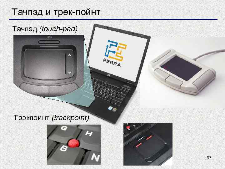 Тачпэд и трек-пойнт Тачпэд (touch-pad) Трэкпоинт (trackpoint) 37 