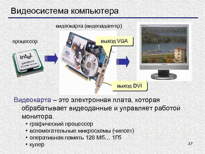 Видеосистема компьютера видеокарта (видеоадаптер) процессор выход VGA выход DVI Видеокарта – это электронная плата,