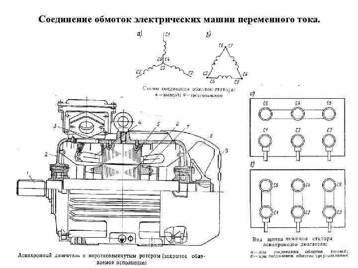 Схема электрической машины. Соединение обмоток электрических машин. Схема подключения обмоток Эл машин. Схема подключения обмотки электрических машин. Схемы соединение роторных обмоток электрических машин.