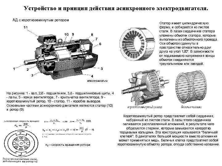 Устройство асинхронного двигателя. Принцип действия трёхфазного асинхронного электродвигателя. Принцип действия трехфазного асинхронного двигателя. Объясните устройство трехфазного асинхронного двигателя. Принцип работы трехфазного асинхронного электродвигателя.