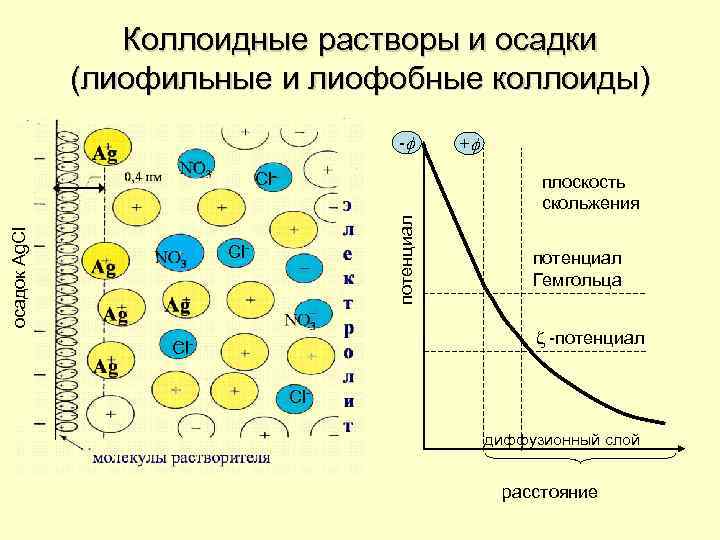 Коллоидные растворы и осадки (лиофильные и лиофобные коллоиды) -f плоскость скольжения потенциал осадок Ag.