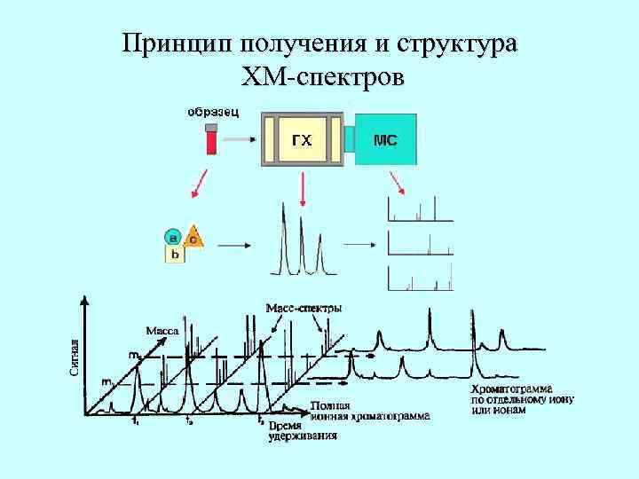 Принцип синтезу. Газовый хромато-масс-спектрометр схема. Метод хромато-масс-спектрометрии. Хромато-масс-спектрометр блок-схема. Схема газовая хроматография и масс-спектрометрия.