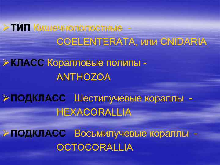 Ø ТИП Кишечнополостные COELENTERATA, или CNIDARIA Ø КЛАСС Коралловые полипы ANTHOZOA Ø ПОДКЛАСС Шестилучевые
