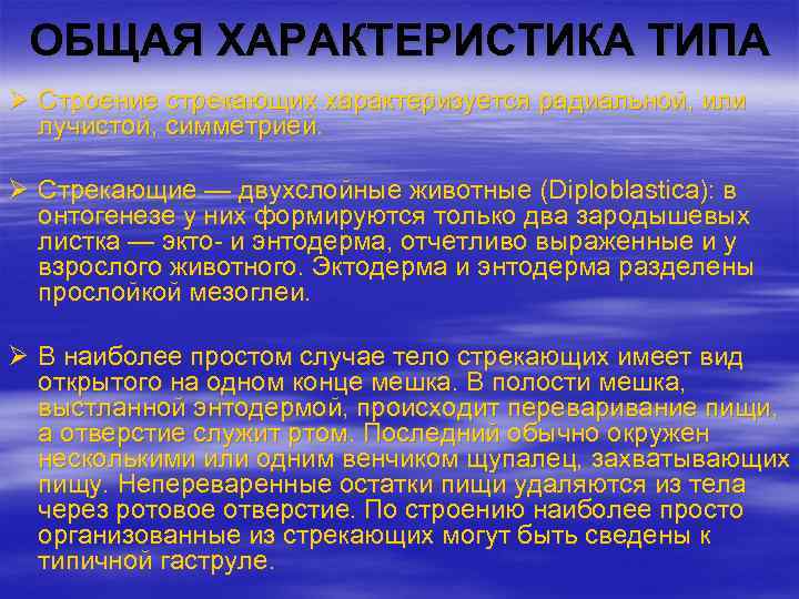 ОБЩАЯ ХАРАКТЕРИСТИКА ТИПА Ø Строение стрекающих характеризуется радиальной, или лучистой, симметрией. Ø Стрекающие —