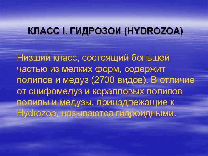 КЛАСС I. ГИДРОЗОИ (HYDROZOA) Низший класс, состоящий большей частью из мелких форм, содержит полипов