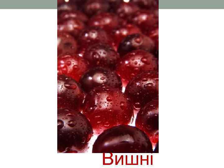  Вишні 
