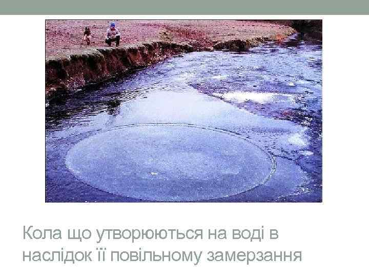 Кола що утворюються на воді в наслідок її повільному замерзання 