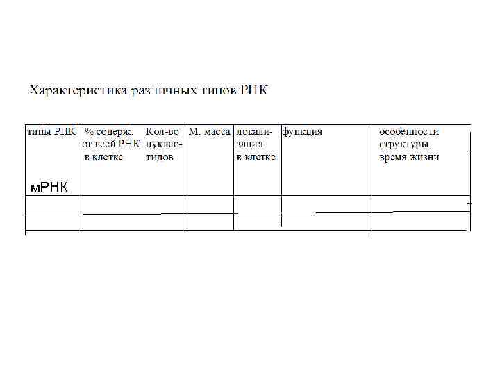 м. РНК 