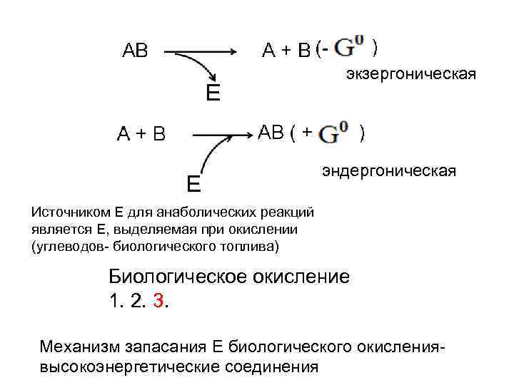 Конечными продуктами окисления являются. Эндергонические и экзергонические реакции в живой клетке. Сопряжение экзергонических и эндергонических реакций биохимия. Эндергонические и экзергонические реакции в живой клетке биохимия. Эндэргонические и экзэргонические реакции в живой клетке..