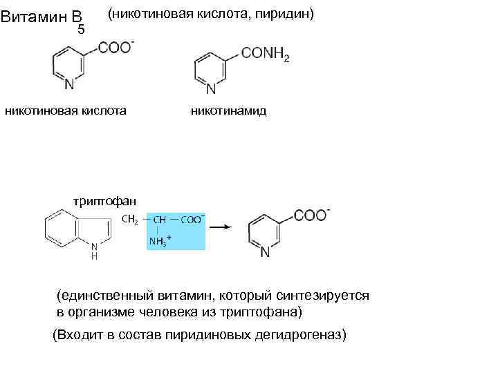 Витамин В (никотиновая кислота, пиридин) 5 никотиновая кислота никотинамид триптофан (единственный витамин, который синтезируется