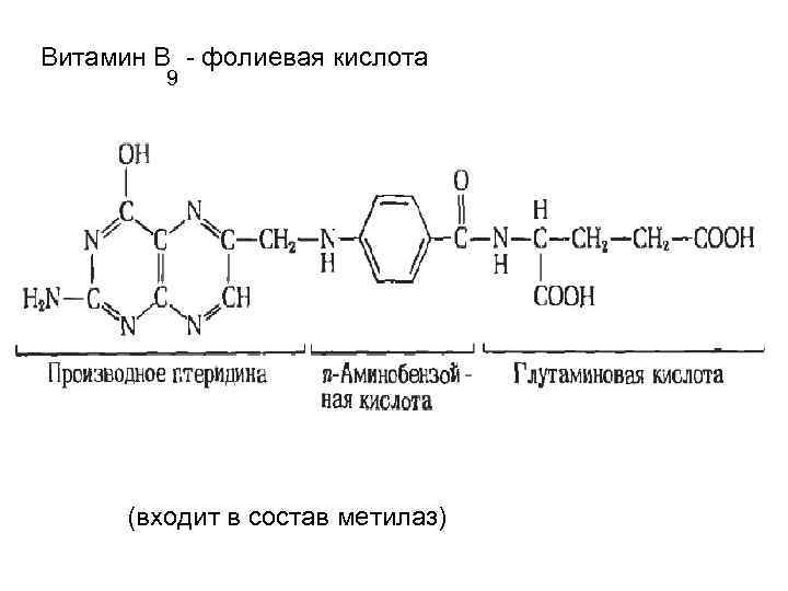 Витамин В - фолиевая кислота 9 (входит в состав метилаз) 