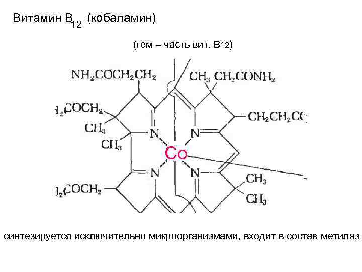 Витамин В 12 (кобаламин) (гем – часть вит. В 12) Со синтезируется исключительно микроорганизмами,