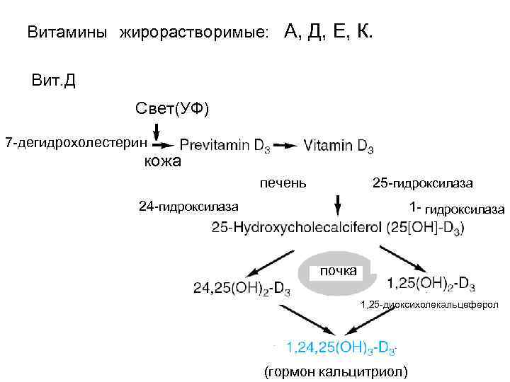 Схема вит д