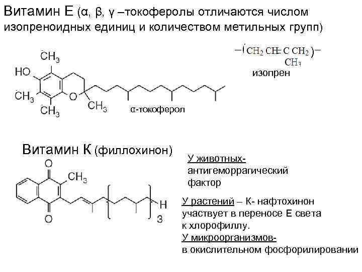 Витамин Е (α, β, γ –токоферолы отличаются числом изопреноидных единиц и количеством метильных групп)