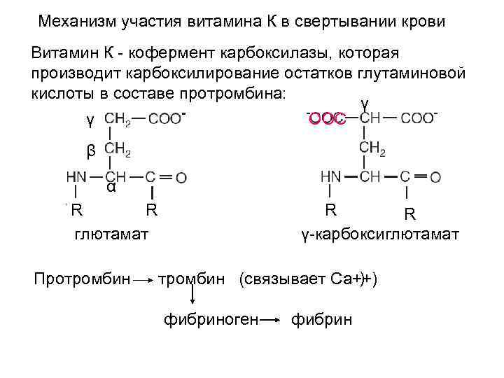 Механизм участия витамина К в свертывании крови Витамин К - кофермент карбоксилазы, которая производит
