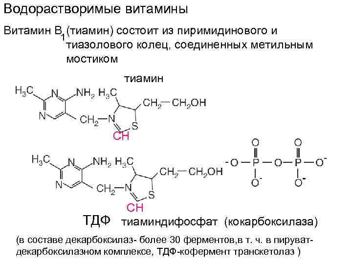 Водорастворимые витамины Витамин В (тиамин) состоит из пиримидинового и 1 тиазолового колец, соединенных метильным