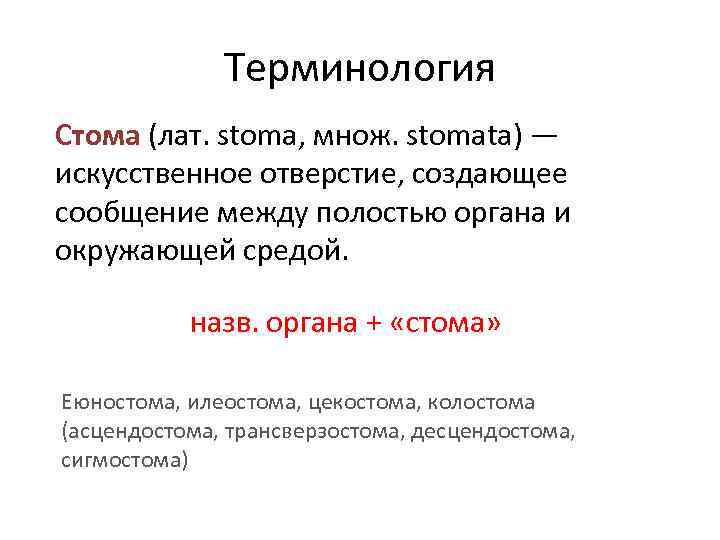 Терминология Стома (лат. stoma, множ. stomata) — искусственное отверстие, создающее сообщение между полостью органа