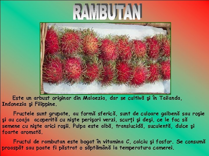 Este un arbust originar din Malaezia, dar se cultivă şi în Tailanda, Indonezia şi