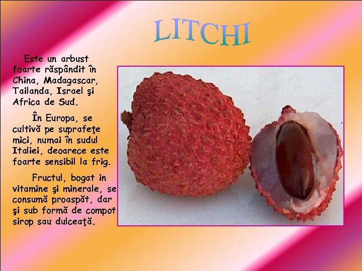 Este un arbust foarte răspândit în China, Madagascar, Tailanda, Israel şi Africa de Sud.