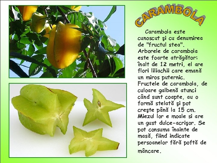 Carambola este cunoscut şi cu denumirea de "fructul stea". Arborele de carambola este foarte