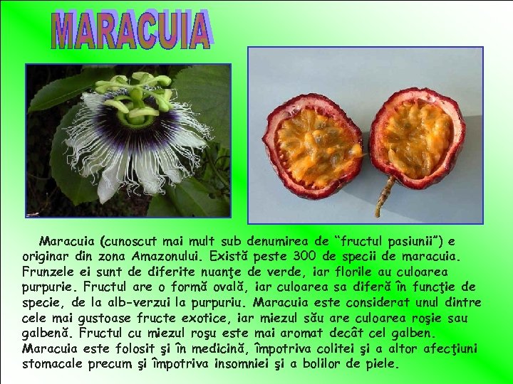 Maracuia (cunoscut mai mult sub denumirea de “fructul pasiunii”) e originar din zona Amazonului.