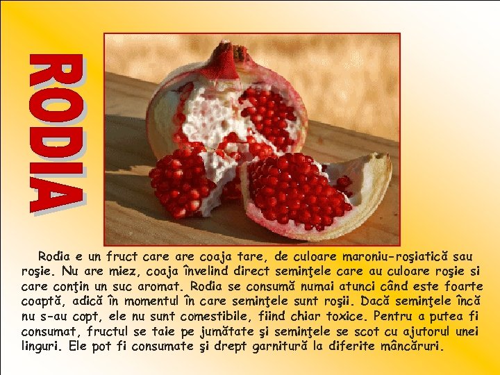 Rodia e un fruct care coaja tare, de culoare maroniu-roşiatică sau roşie. Nu are