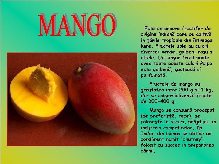 Este un arbore fructifer de origine indiană care se cultivă in ţările tropicale din