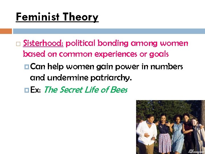 Feminist Theory Sisterhood: political bonding among women based on common experiences or goals Can