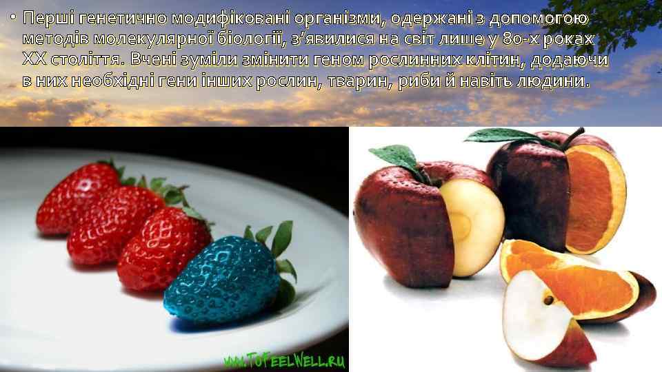  • Перші генетично модифіковані організми, одержані з допомогою методів молекулярної біології, з’явилися на