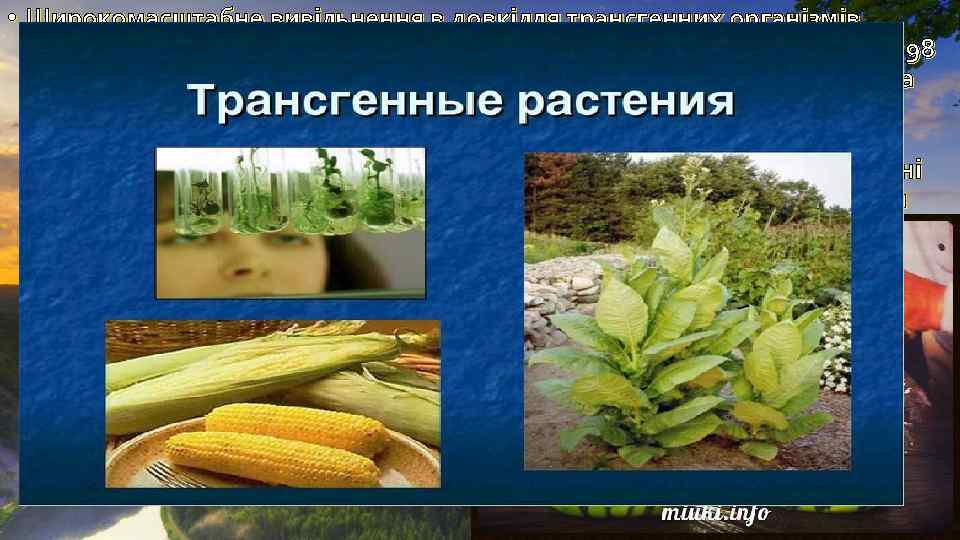  • Широкомасштабне вивільнення в довкілля трансгенних організмів розпочалося 1996 р. Серед трансгенних організмів,