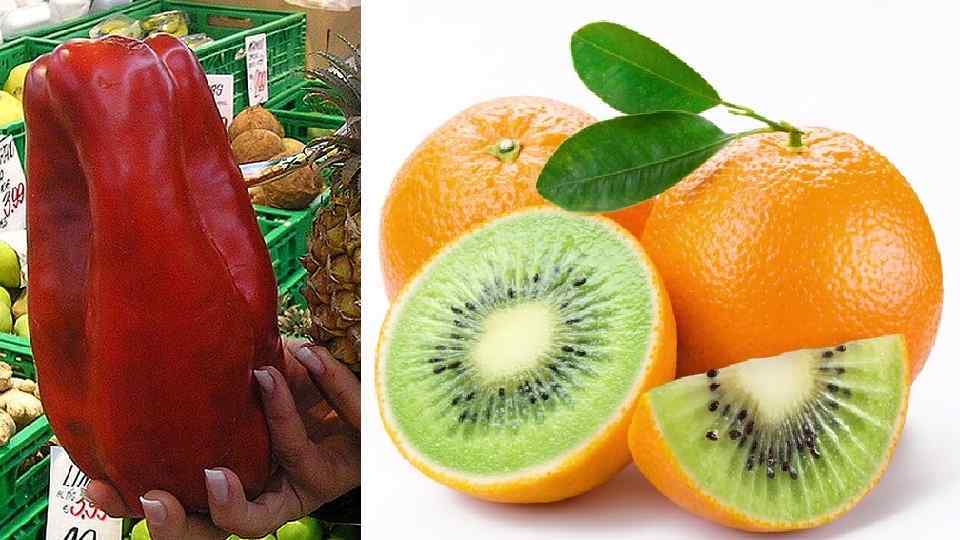  • Але, хоча такими продуктами нині харчується багато людей, минуло замало часу, аби