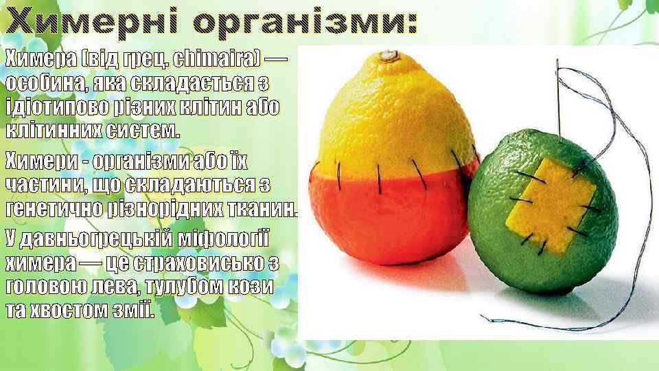  • Химера (від грец. chimaira) — особина, яка складається з ідіотипово різних клітин