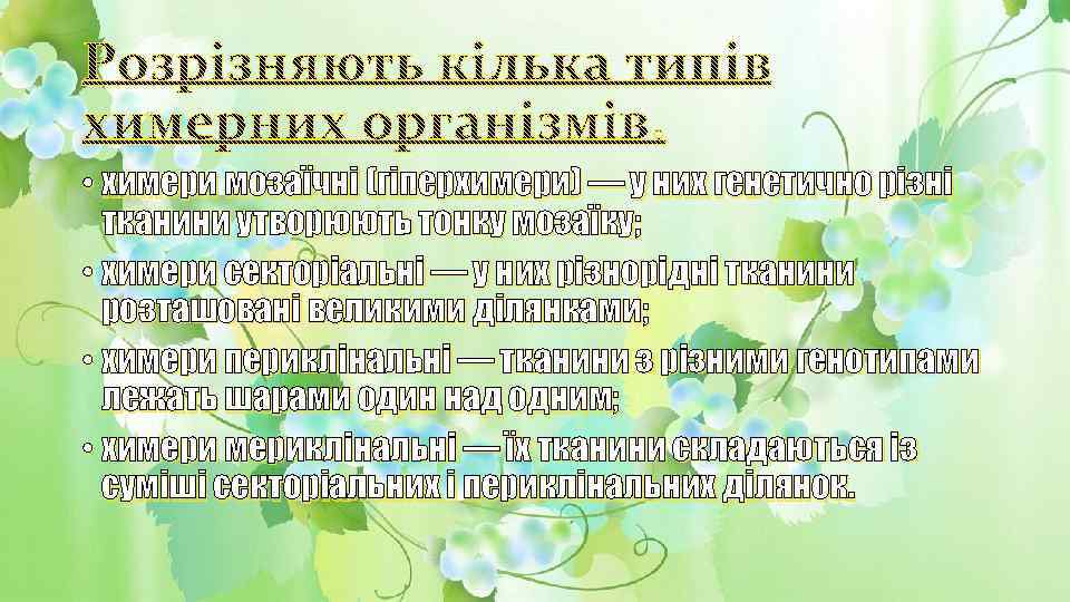  • химери мозаїчні (гіперхимери) — у них генетично різні тканини утворюють тонку мозаїку;