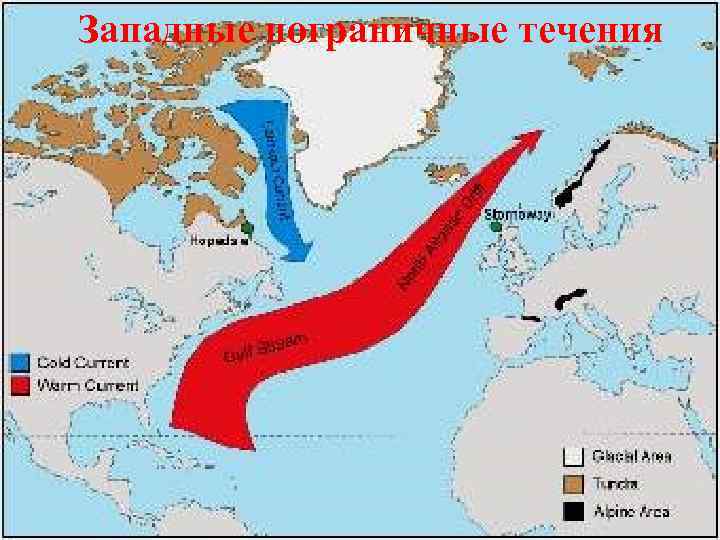 Западные пограничные течения 