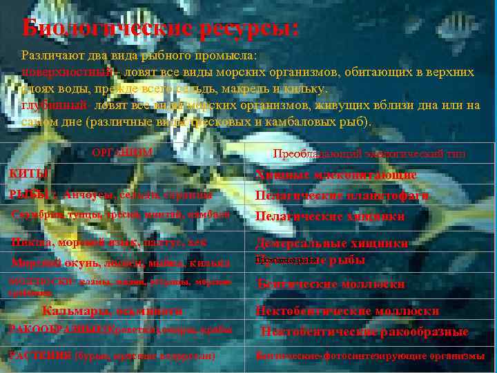 Биологические ресурсы: Различают два вида рыбного промысла: поверхностный - ловят все виды морских организмов,
