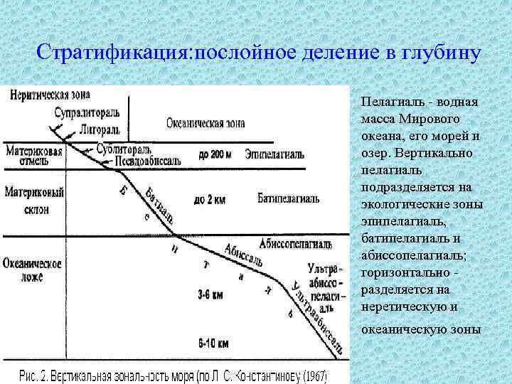  Стратификация: послойное деление в глубину ¨ Пелагиаль - водная масса Мирового океана, его