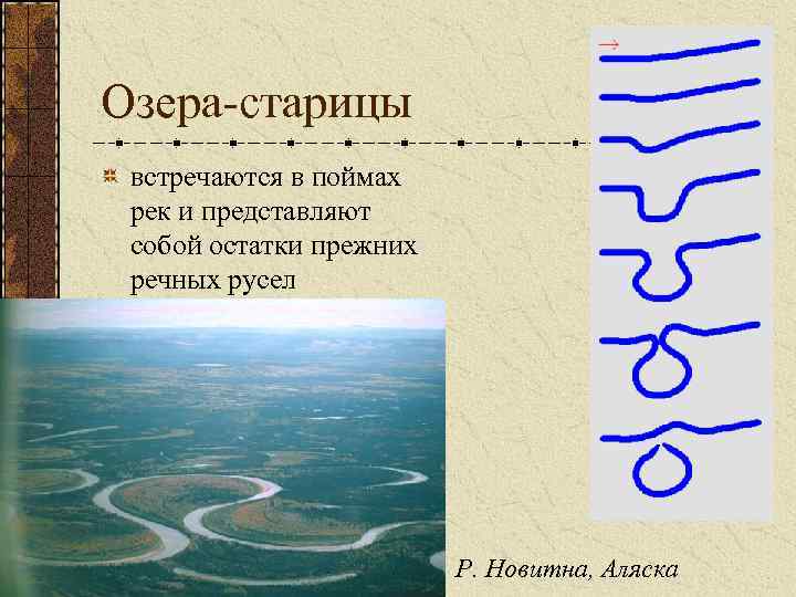 Озеро старица новосибирск