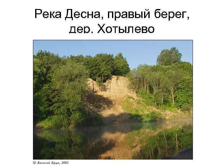 Река Десна, правый берег, дер. Хотылево 