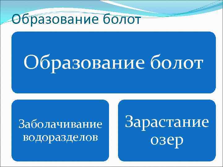 Образование болот Заболачивание водоразделов Зарастание озер 