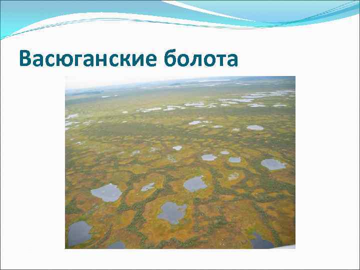 Васюганские болота где. Васюганское болото на карте. Васюганское болото местоположение. Карта Сибири Васюганское болото. Васюганские болота заповедник на карте.