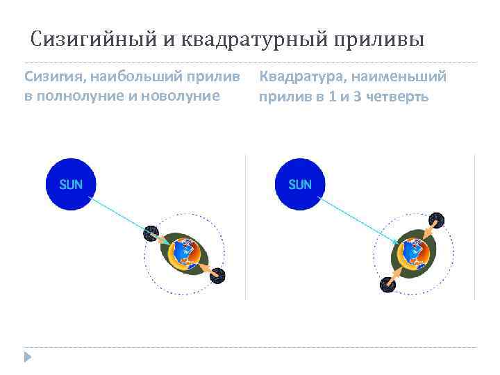 Сизигийный и квадратурный приливы Сизигия, наибольший прилив в полнолуние и новолуние Квадратура, наименьший прилив