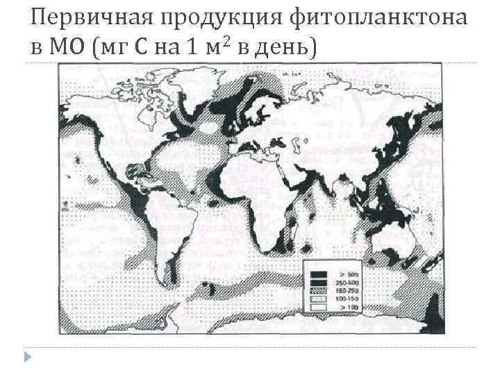 Первичная продукция фитопланктона в МО (мг С на 1 м 2 в день) 