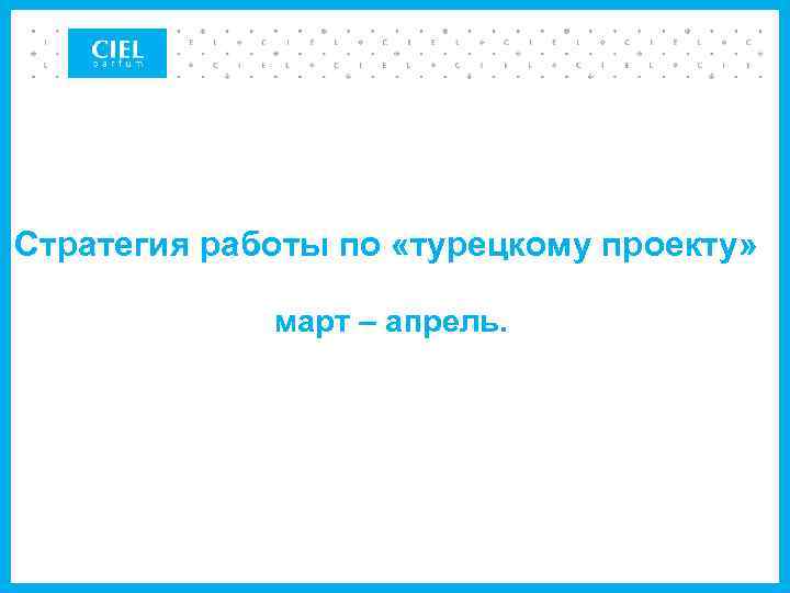 Стратегия работы по «турецкому проекту» март – апрель. 