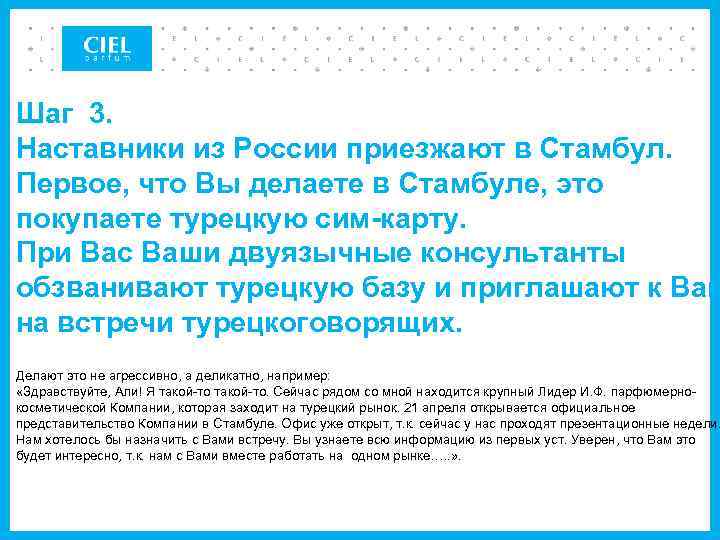 Шаг 3. Наставники из России приезжают в Стамбул. Первое, что Вы делаете в Стамбуле,