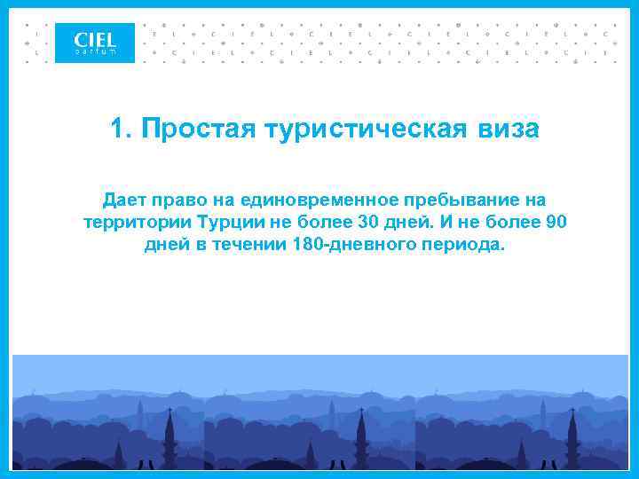 1. Простая туристическая виза Дает право на единовременное пребывание на территории Турции не более