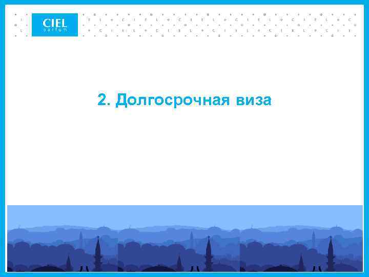 2. Долгосрочная виза 